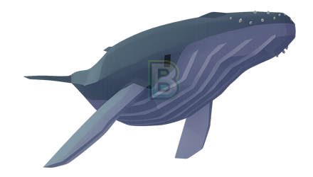 Imagem da oferta Peixe Secreto: Grande Tubarão