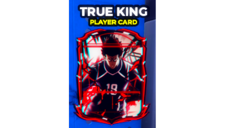 Imagem da oferta TRUE KING PLAYER CARD