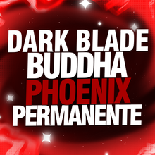 Imagem da oferta LEVEL 2550 + RAÇA V4 + 3 FRUTAS PERMANENTES + DARK BLADE + 3 GAMEPASS
