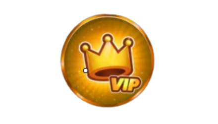 Imagem da oferta VIP