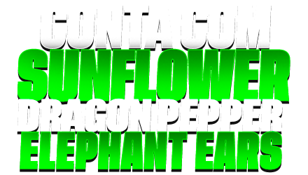 Imagem da oferta CONTA 1 ATÉ 2 ELEPHANT EARS + 1 ATÉ 2 SUNFLOWER SEED + 1 ATÉ 2 DRAGON PEPPER SEED