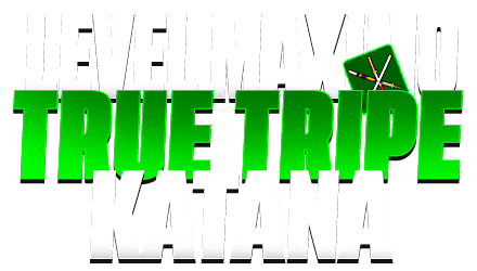 Imagem da oferta LEVEL 2800 + TRUE TRIPLE KATANA